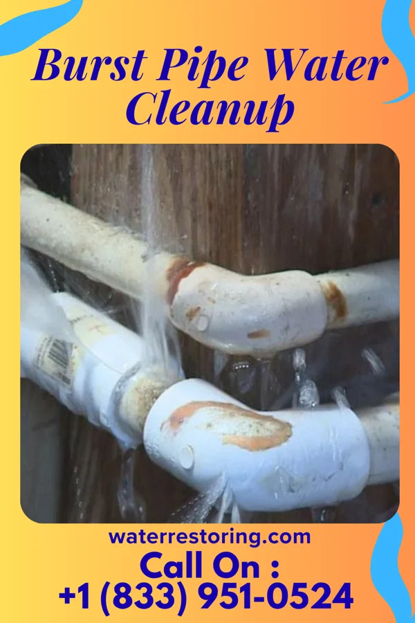 Burst Pipe Water Cleanup in Chambers, NE