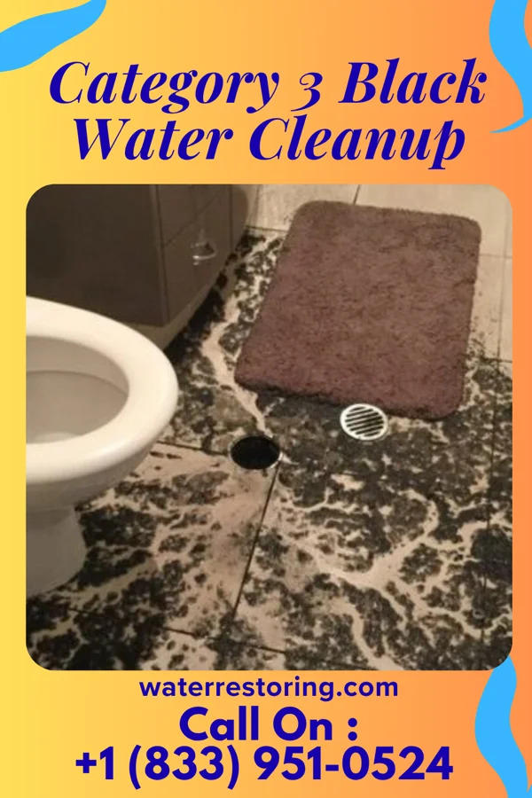 Category 3 Black Water Cleanup in Chambers, NE